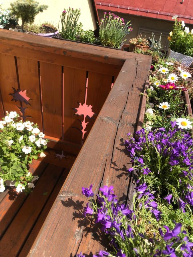 Apartman Relax Vysoke Tatry Bagian luar foto
